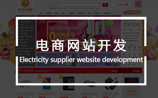 通用电商网站开发公司_郑州商城系统开发公司